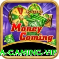 3aa - Gaming VIP